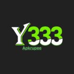 Y333 Game